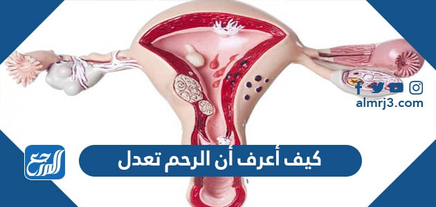 كيف أعرف أن الرحم تعدل