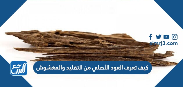 كيف تعرف العود الأصلي من التقليد والمغشوش