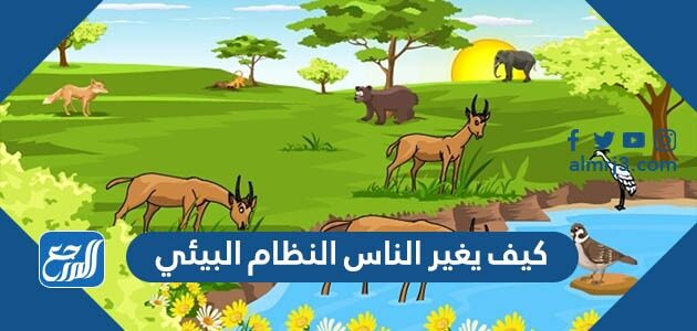 النظام البيئي قد يكون كبير جداً اوصغير جداً ؟