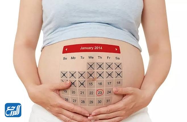 كيفية حساب أيام التبويض بعد الدورة