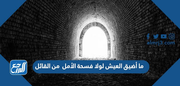 ما أضيق العيش لولا فسحة الأمل من القائل