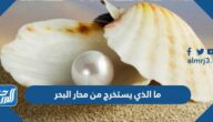 ما الذي يستخرج من محار البحر