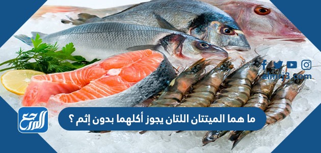 ما هما الميتتان التي يجوز أكلهما بدون إثم؟