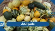 ماهو الدباء ، معنى الدباء في الحديث