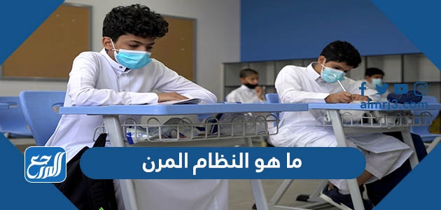 ما هو النظام المرن