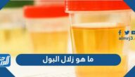ما هو زلال البول وكيف الوقاية منه