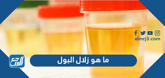 ما هو زلال البول