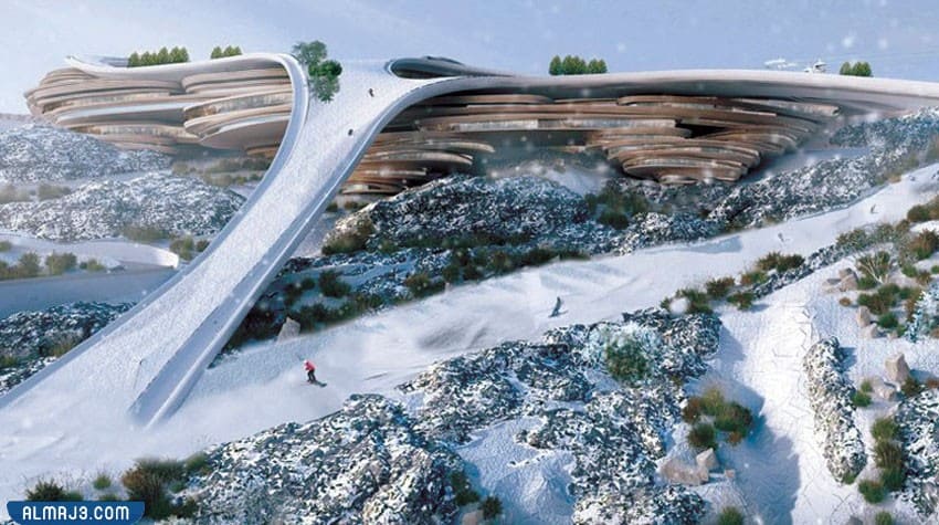 ما هو مشروع تروجينا في السعودية؟