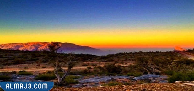 ما هي ولاية أريزونا