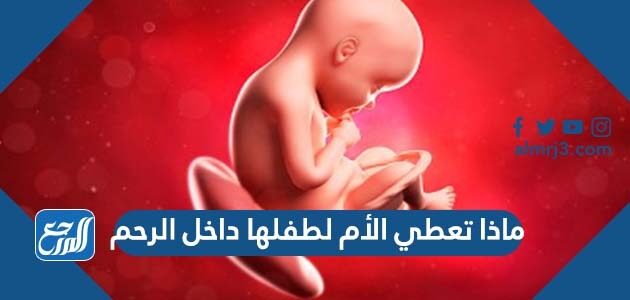 ماذا تعطي الأم لطفلها داخل الرحم