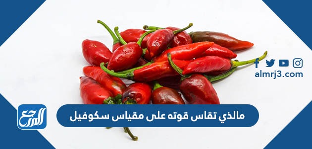 مالذي تقاس قوته على مقياس سكوفيل