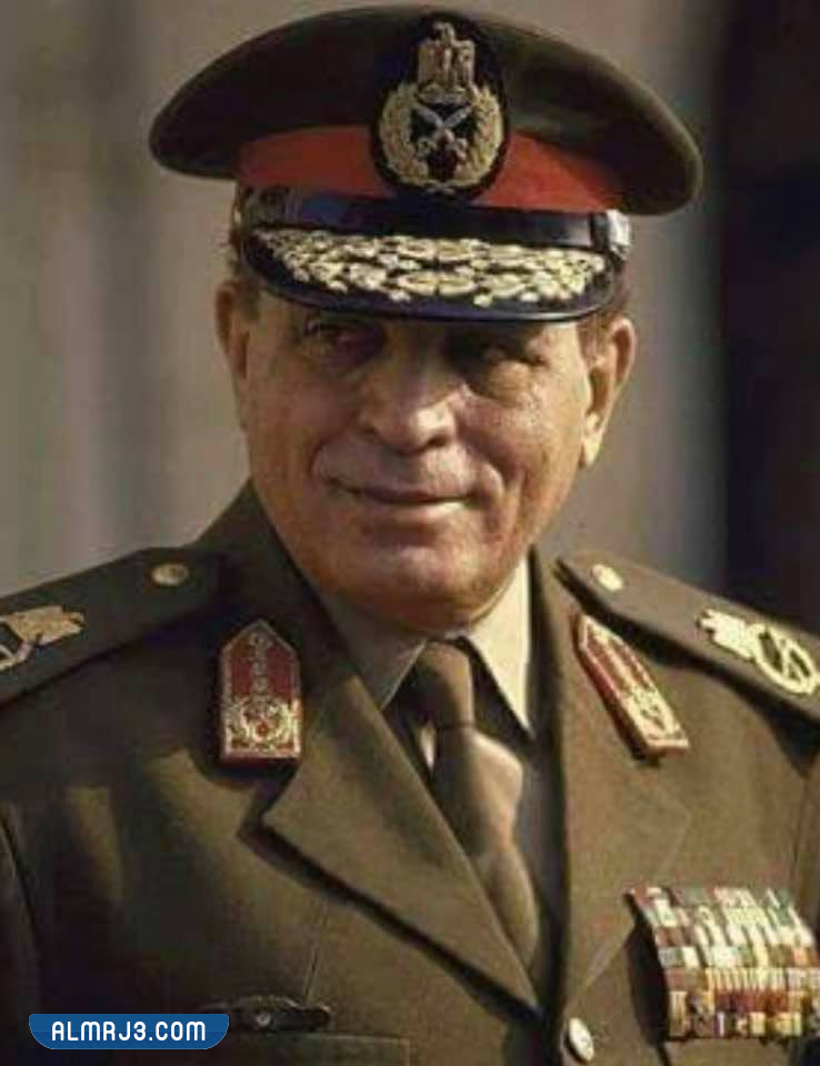 محمد أبو غزالة السيرة الذاتية