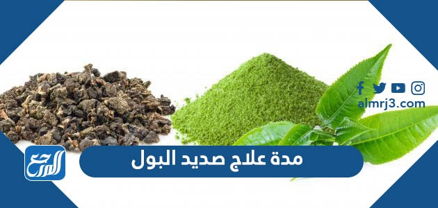 مدة علاج صديد البول