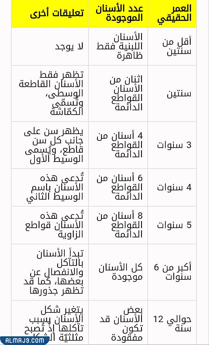 معرفة عمر البقرة من عدد أسنانها