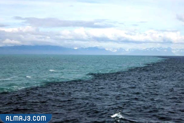 معلومات وحقائق عن بحر البلطيق