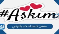 معنى كلمة اشكم بالتركي