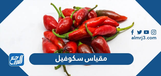 مقياس سكوفيل لقياس حرارة الفلفل