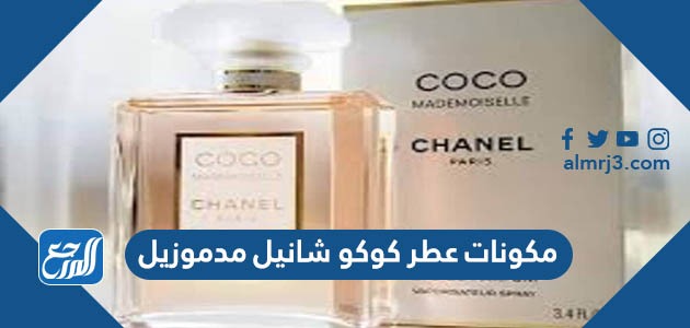 مكونات عطر كوكو شانيل مدموزيل