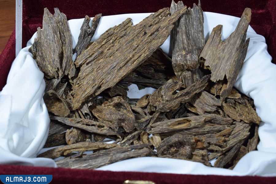 مميزات العود الأصلي