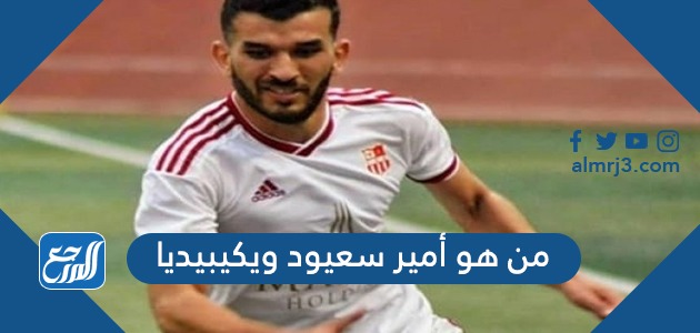 من هو أمير سعيود ويكيبيديا