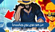 من هو جوي بوي ويكيبيديا