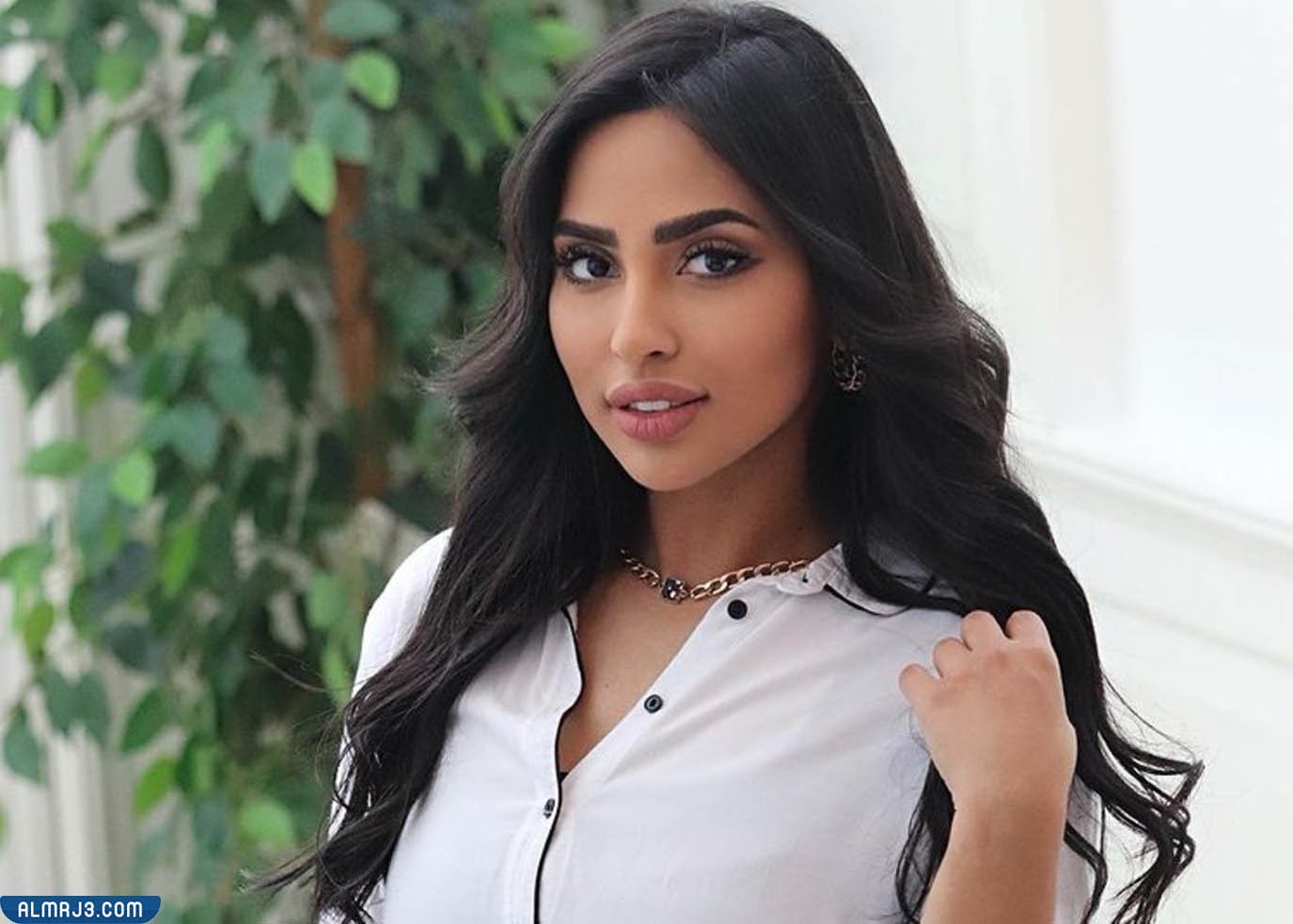 من هي كفاح الرجيب ويكيبيديا