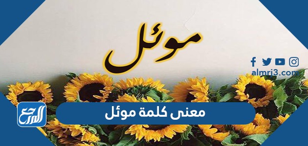 موئل في جملة مفيدة