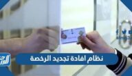 الرخصة تجديد نظام افادة الخطوات التفصيلية