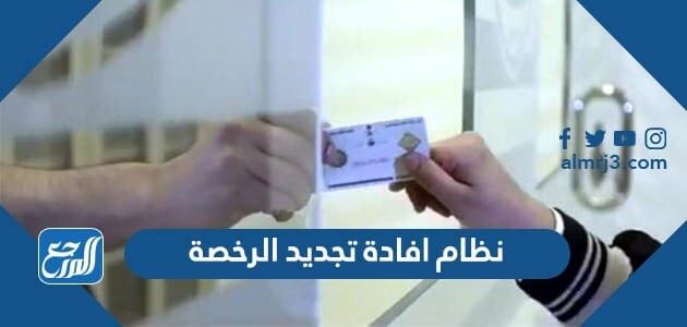 نظام افادة تجديد الرخصة بالخطوات التفصيلية 1447