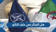 هل الجزائر في حلف الناتو