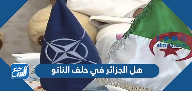 هل الجزائر في حلف الناتو