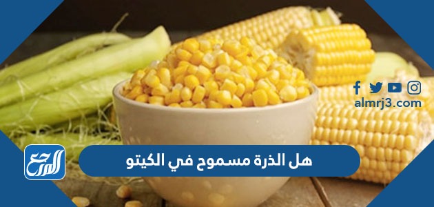 هل الذرة مسموح في الكيتو