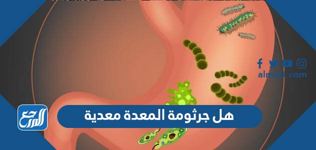 هل جرثومة المعدة معدية