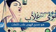 هو صحيح الهوى غلاب كلمات