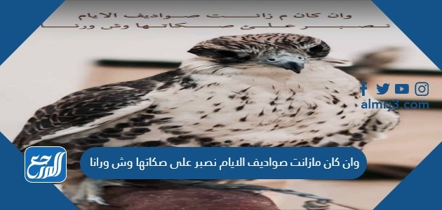 وان كان مازانت صواديف الايام نصبر على صكاتها وش ورانا