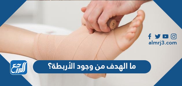 ما الهدف من وجود الأربطة؟