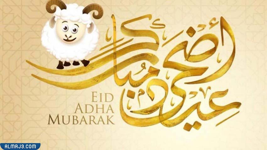 ما هو الطعام الذي يجوز اكله ولا يجوز بيعه