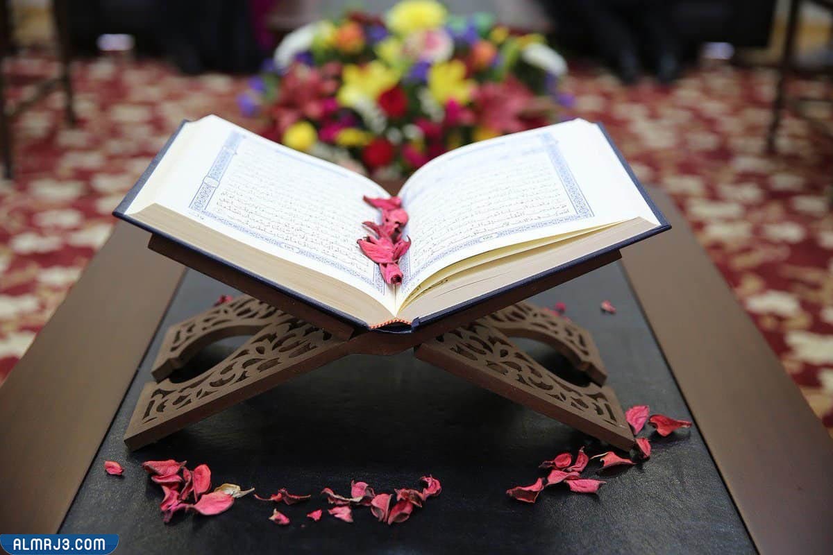 هل قراءة القرآن من الهاتف لها نفس ثواب القراءة من المصحف