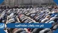 كم عدد ركعات صلاة العيد وكيفية أدائها