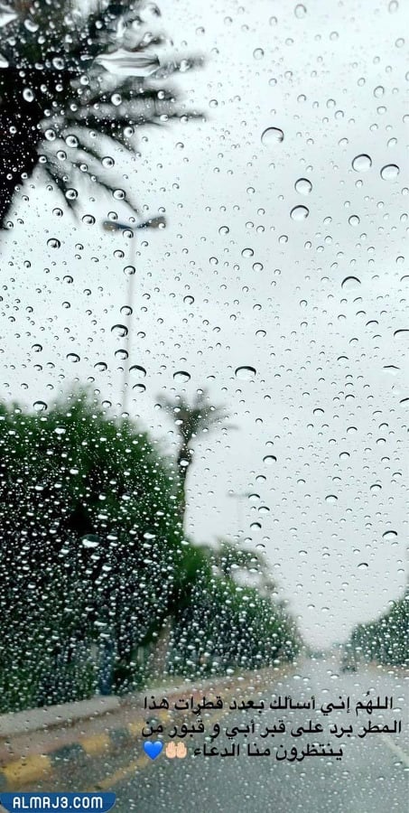 هنيتم الرحمه وش ارد