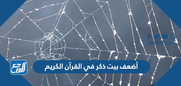 أضعف بيت ذكر في القرآن الكريم