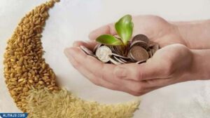 الحكمة من فرض زكاة الفطر