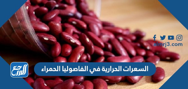 السعرات الحرارية في الفاصوليا الحمراء