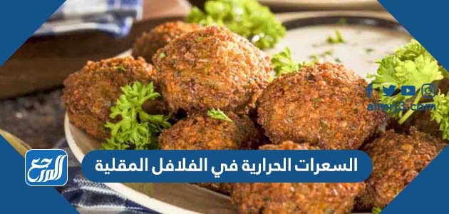 السعرات الحرارية في الفلافل المقلية
