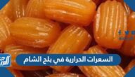 كم السعرات الحرارية في بلح الشام