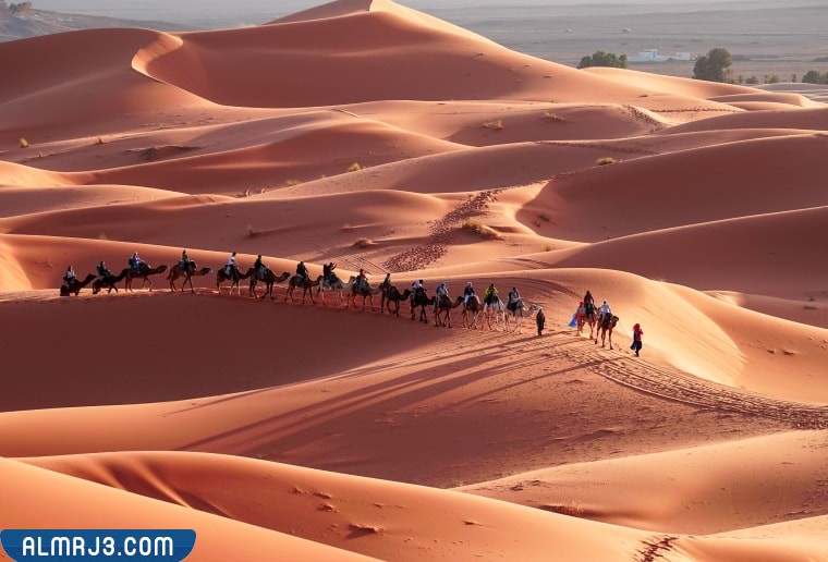 الكثبان الرملية في الثمامة