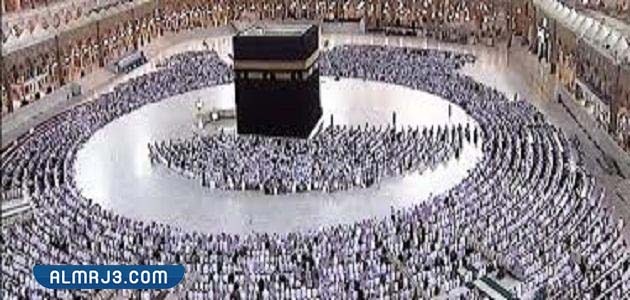 هل يجوز العمرة عن الحي؟