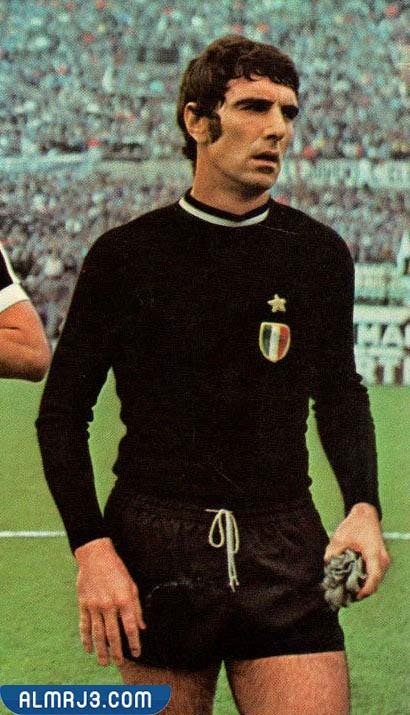 المركز السادس دينو زوف