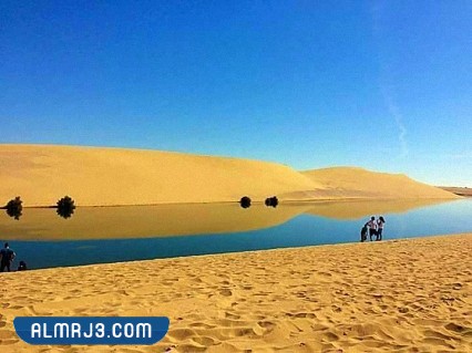 وادي الريان