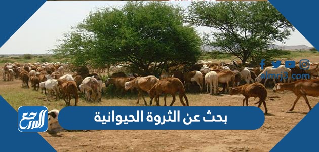 بحث عن الثروة الحيوانية